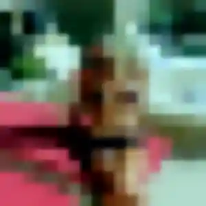 Nicole, femme de 42 ans cherche plan cul à Castétis