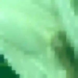 Photo privée de Naïma, 42 ans à Castillon-du-Gard - rencontre sans lendemain