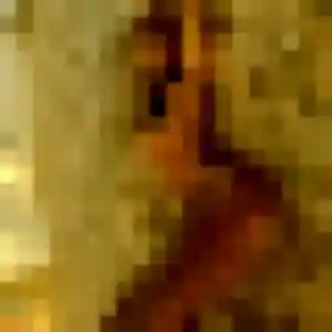 Patricia, 22 ans, connectée à Caudan pour une rencontre coquine