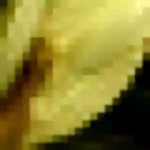 Photo de Yaa à Caves (44 ans) - plan cul anonyme