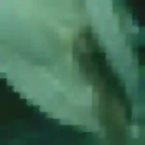 Profil de Sandrine à Cazilhac (42 ans) - plan cul anonyme