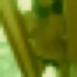 Hadija, 37 ans, connectée à Ceaucé pour une rencontre coquine