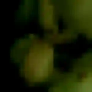 Njeri, 43 ans, dispo pour plan cul à Cerisy-Belle-Étoile