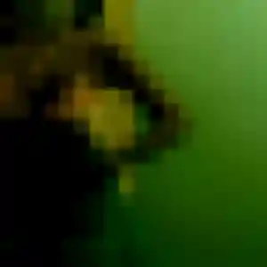 plan cul à Chabeuil : profil de Yankuba, 37 ans - sans engagement