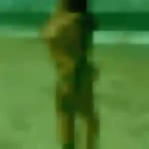 Photo sexy de Djeneba, 41 ans à Chailloué - rencontre coquine