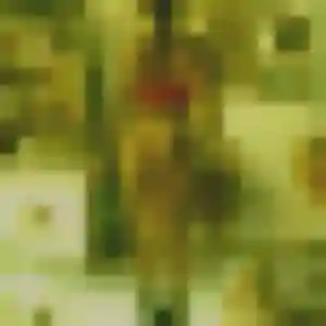 Photo sexy de Shanelle, 31 ans à Chalmaison - rencontre sans lendemain