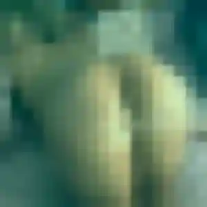 Belle Amoin, 35 ans à Chamboret - la contacter