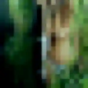 Photo sexy de Safiatou, 33 ans à Chamborigaud - rencontre sans lendemain