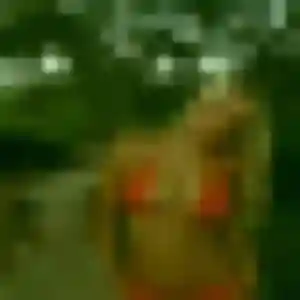 Photo exclusive de Titilayo, 27 ans à Chambost-Allières - rencontre sans lendemain