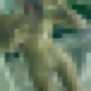 Rencontre Zélie, 22 ans à Champenoux en privé
