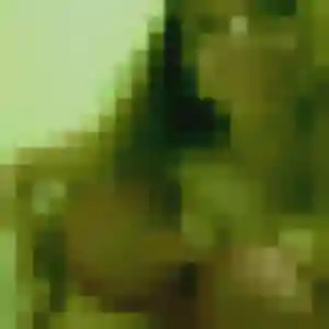 Photo de Dado à Champlay (45 ans) - plan cul discret