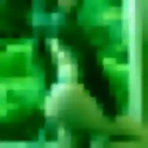 Photo de Lola à Chapet (37 ans) - plan cul sans inscription