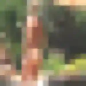Charmante Tabitha, 28 ans à Charentay - voir sa photo