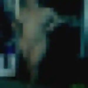 Photo de Shanna à Chartainvilliers (33 ans) - plan cul gratuit