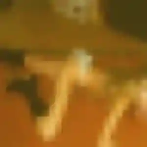 Capucine, 37 ans, connectée à Chasnais pour une rencontre coquine