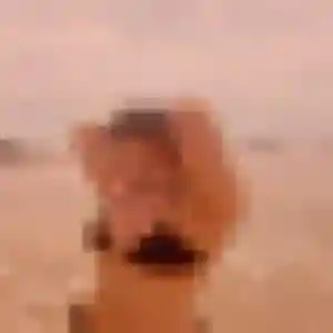 Adwoa, femme de 23 ans veut plan cul à Chassieu