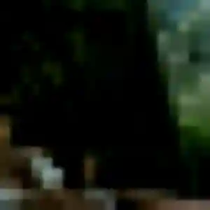 Photo de Djamilatou à Château-Chervix (29 ans) - plan cul sans inscription