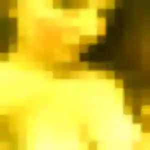Wambui, 22 ans, en ligne à Château-Chinon (Ville) pour une rencontre coquine