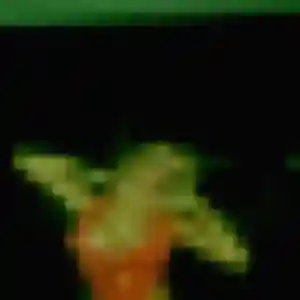 Rejoins Bérénice, 29 ans à Châteauvillain en privé