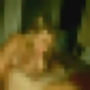 Paulette, 32 ans, disponible à Châtillon pour une rencontre coquine
