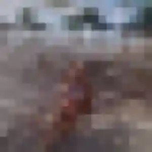 Sékou (39 ans) à Châtillon-sur-Seine cherche un plan cul maintenant
