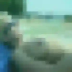 Ludivine (27 ans) à Cheffes propose une rencontre rapidement