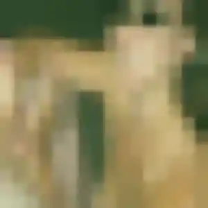 Photo exclusive de Bernadette, 42 ans à Chenôve - rencontre coquine