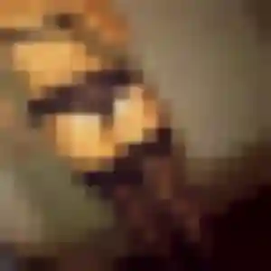 Découvre Ornella, 31 ans à Cherrueix en privé