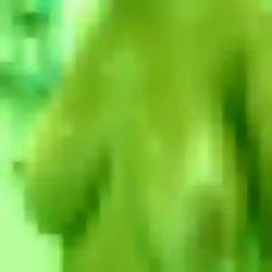 Photo privée de Aïcha, 32 ans à Chiré-en-Montreuil - rencontre coquine