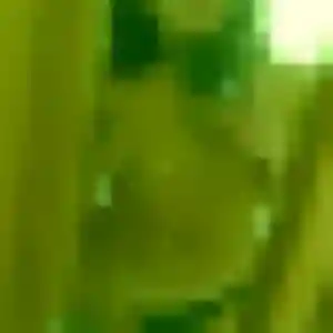 Photo exclusive de Dado, 37 ans à Clastres - rencontre coquine