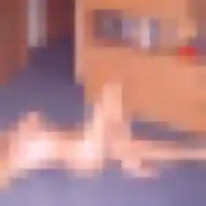 Viviane, 41 ans, disponible à Clémont pour un plan cul