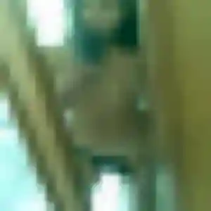 Nassira, fille de 38 ans cherche plan cul à Commelle-Vernay