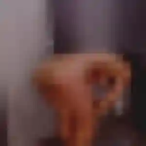 Léonie, fille de 42 ans veut plan cul à Condat-sur-Vienne