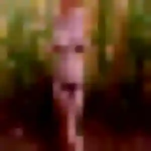 Profil de Hope à Cordemais (29 ans) - plan cul gratuit