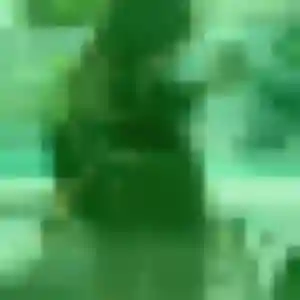 Photo de Lucinda à Corpe (32 ans) - plan cul discret