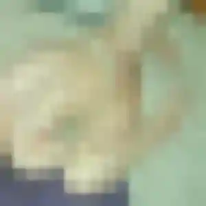 Photo sexy de Wendy, 27 ans à Cosnac - rencontre coquine
