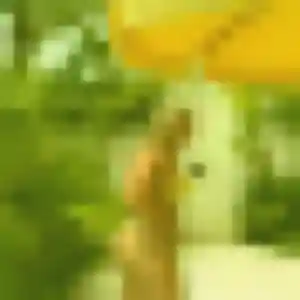 Profil de Ludivine à Courbouzon (32 ans) - plan cul anonyme