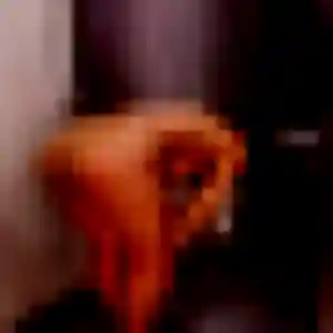Photo de Omolara à Couvrot (34 ans) - plan cul discret