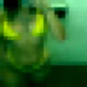 Contacte Tabitha, 45 ans à Coyecques gratuitement