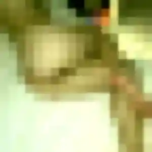 Photo de Oumy à Crécy-en-Ponthieu (30 ans) - plan cul anonyme
