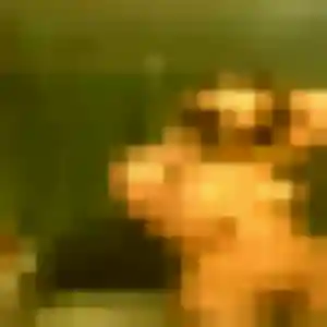 Dado, 29 ans, en ligne à Crédin pour une rencontre coquine