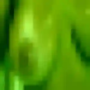 Photo perso de Rébecca, 24 ans à Croutelle - rencontre coquine