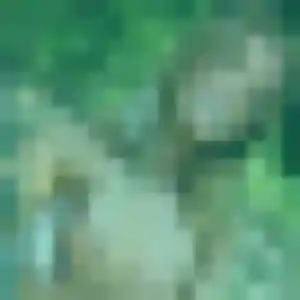Sexy Jamila, 35 ans à Crouy-en-Thelle - voir sa photo