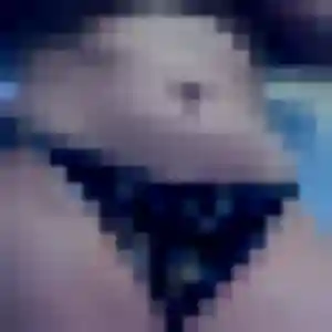 Sexy Odile, 29 ans à Dardilly - voir sa photo
