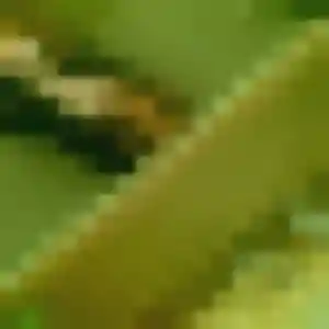 Photo de Adja à Distré (29 ans) - plan cul gratuit