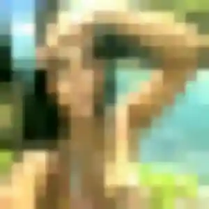 Photo de Njeri à Dixmont (32 ans) - plan cul gratuit