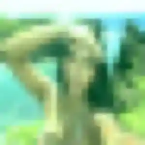 Photo privée de Dienaba, 29 ans à Domart-en-Ponthieu - plan discret