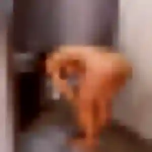 Profil de Aïcha à Dompierre-sur-Besbre (27 ans) - plan cul discret