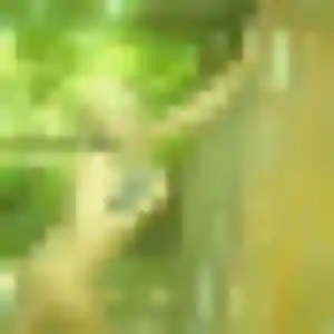 Ketty, femme de 23 ans cherche plan cul à Dugny