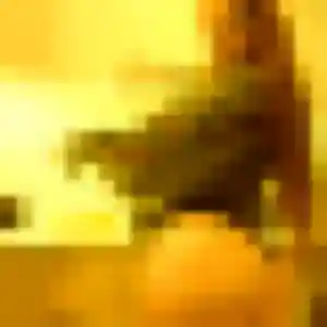 Dienaba, fille de 44 ans veut plan cul à Ectot-l'Auber
